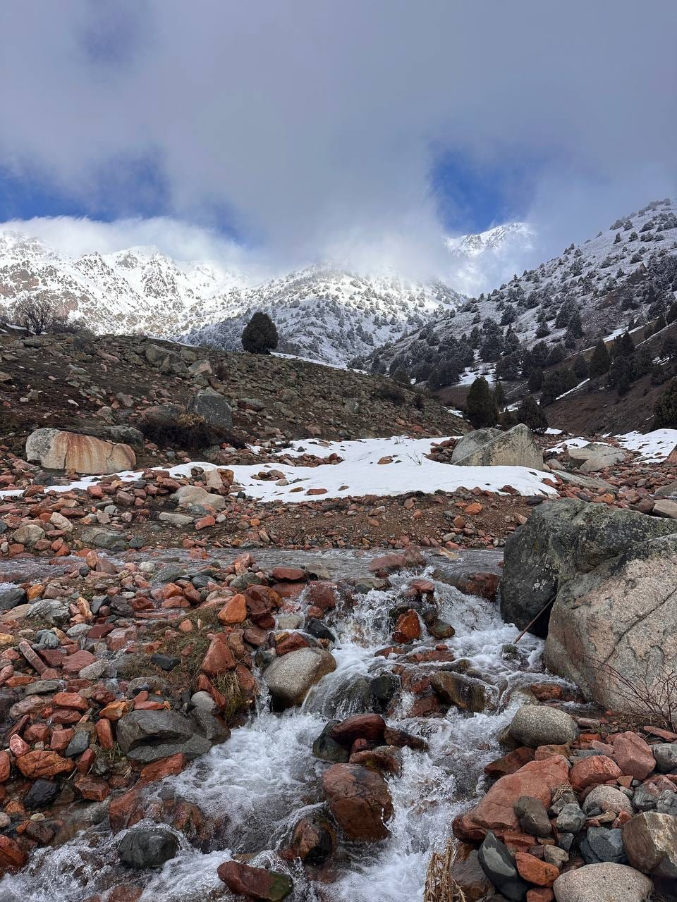 Karakush — 3.864 m. Der schwarze Vogel über dem Tian Shan